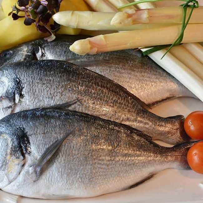 acidos omega 3 omega 6 y omega 9